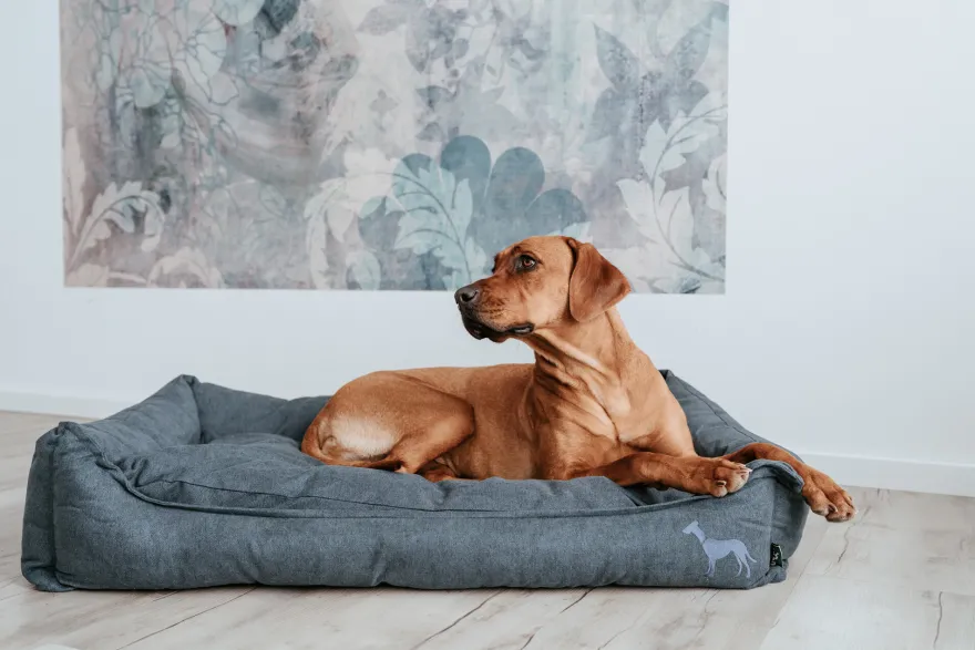 Seng til hund og katt Eiby Grey M 80x60cm