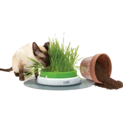 Senses 2.0 Gressplanter grønn 24,5 cm
