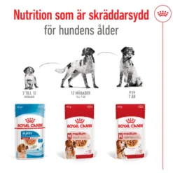 SHN Medium Adult våtfôr for hunder 140 g x 10 stk