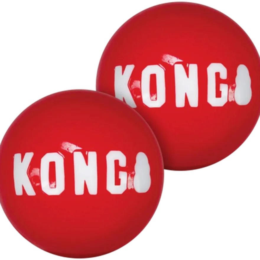 Signature Ball Dog Toy