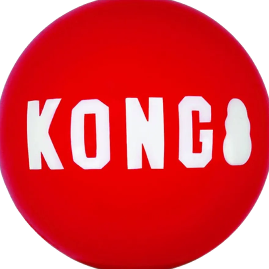 Signature Ball Dog Toy