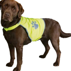 Sikkerhetsvest Neongul