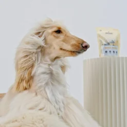 skin and fur hundegodbiter 100 g