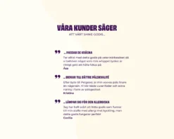 skin and fur hundegodbiter 100 g