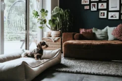 Sofa Ortopedisk Merida antrasitt 70 x 50 cm