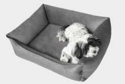Sofa Ortopedisk Merida taupe 70 x 50 cm