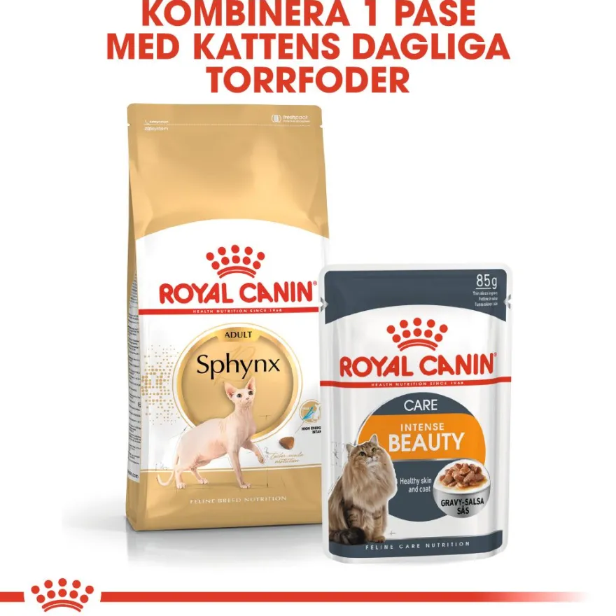 Sphynx voksen 2 kg