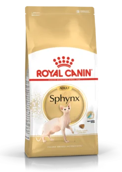 Sphynx voksen 2 kg