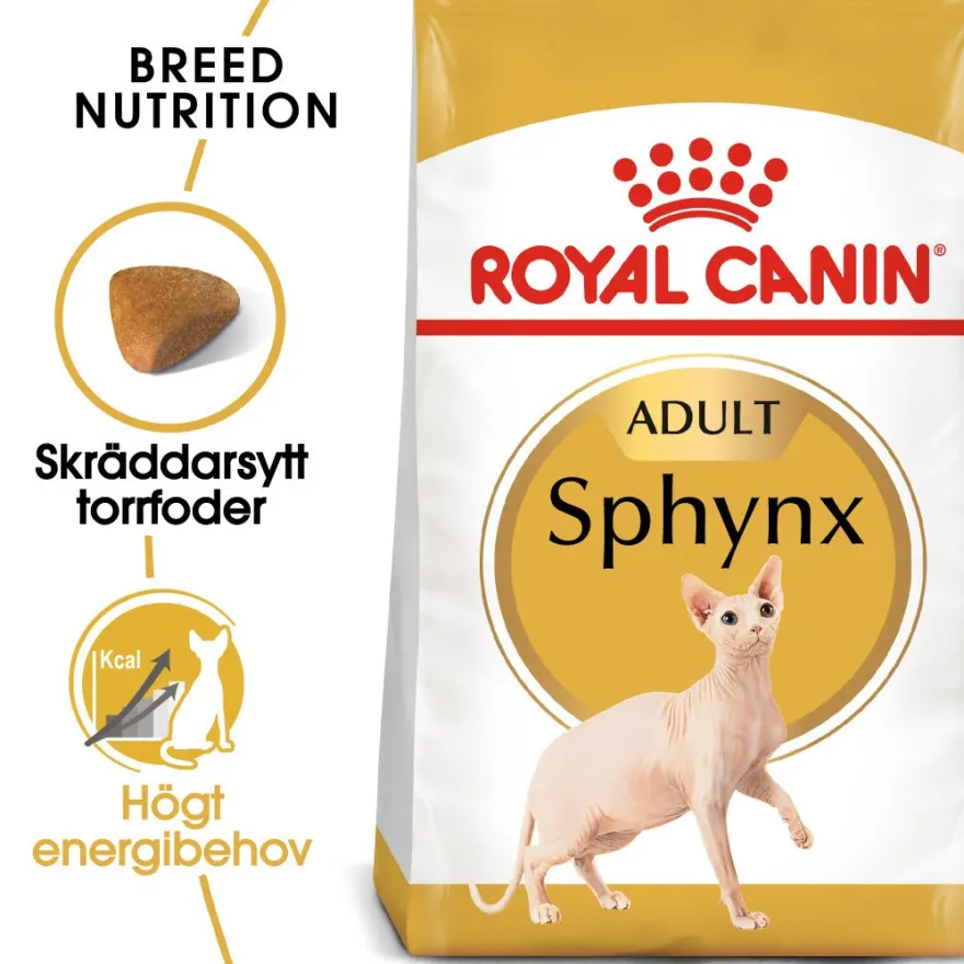 Sphynx voksen 2 kg
