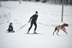 Sporbelte pro