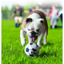 Sportsballer i 3-pakning Hundeleketøy X-Small 4cm