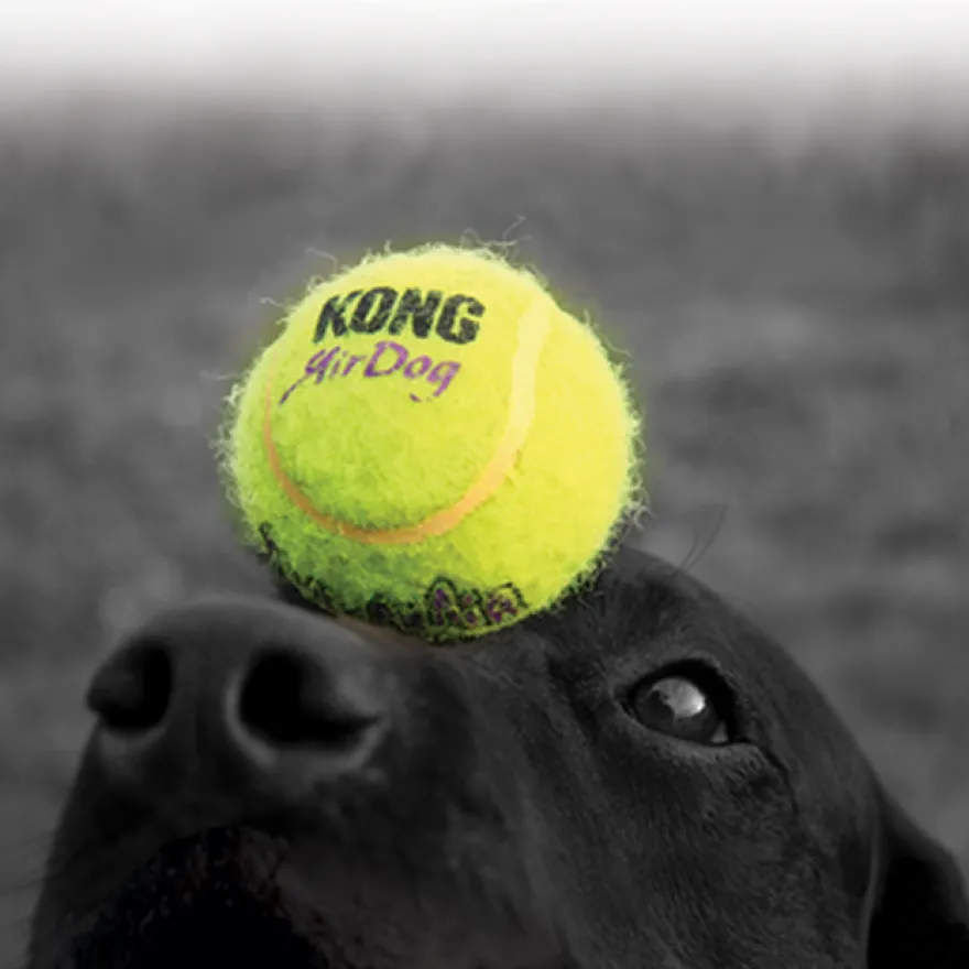 Squeakair Tennisball M 6stk, 6cm