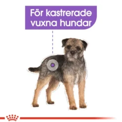 Sterilisert Adult Mini tørrfôr for hunder 8 kg