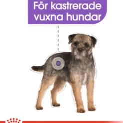 Sterilisert Adult Mini tørrfôr for hunder 8 kg