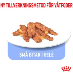 Sterilisert gelé til innendørs bruk 12x85g