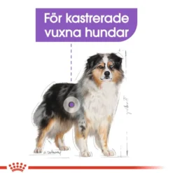 Sterilisert tørrfôr for voksne medium hunder 3 kg