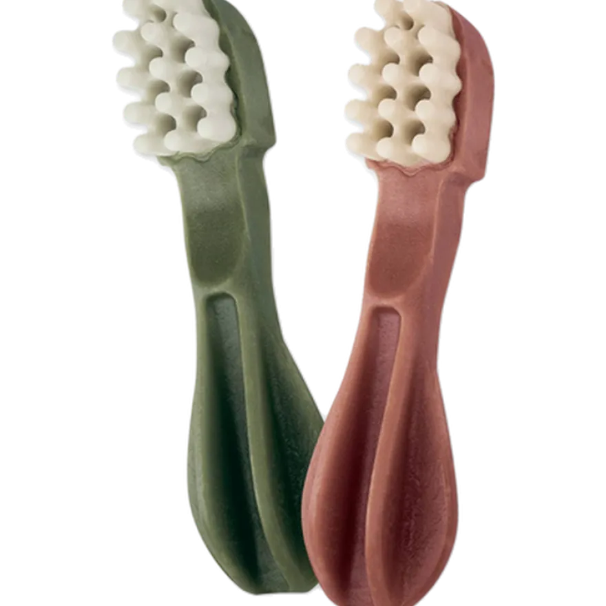 Tannbørste Star Dental XS 48 stk
