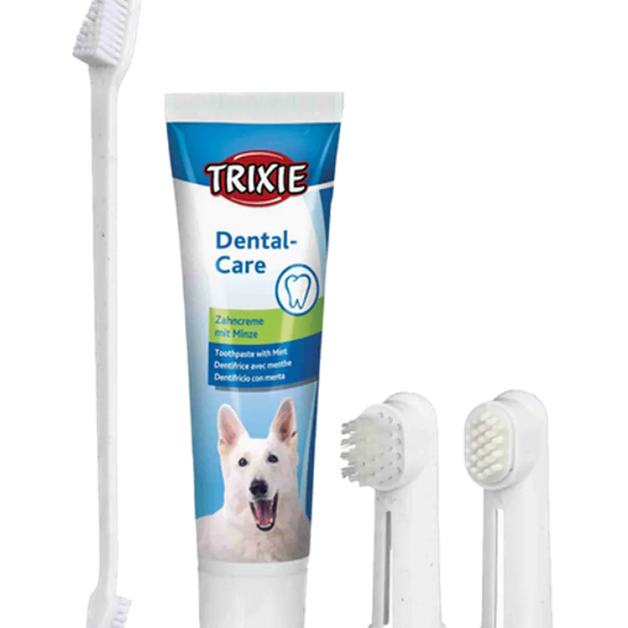 Tannhygienesett for hunder 100 g
