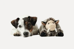 Toy Dog Faro Pig Brown 28 cm