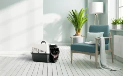 Transportbur Trotter 1 Grey 49 x 33 x 30 cm