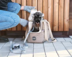 Trendikäs kärpänen