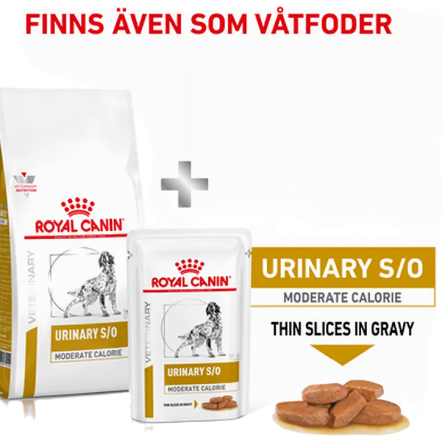 Urinary S/O Moderate Calorie tørrfôr for hunder 12 kg