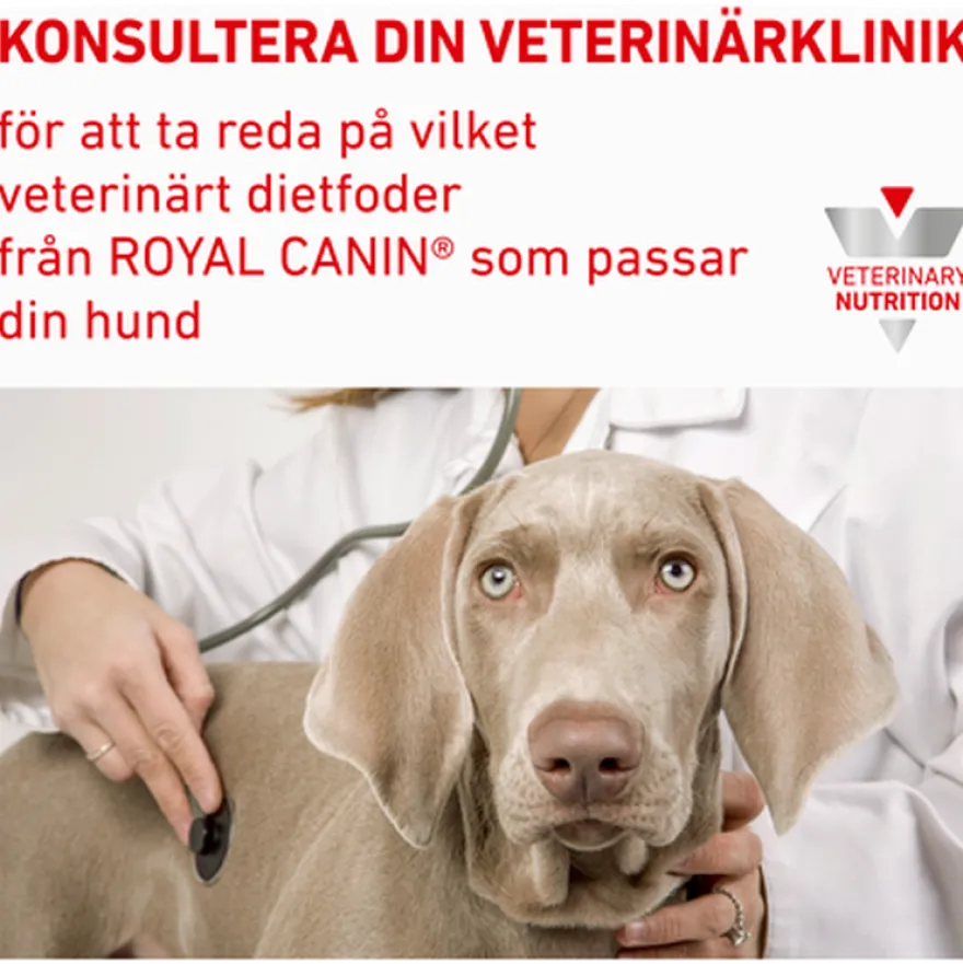 Urinary U/C Low Purine tørrfôr for hunder 14 kg