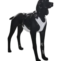 Visibility Harness Dark XS