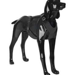 Visibility Harness Dark XS