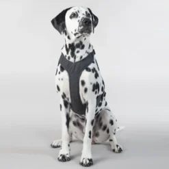 Visibility Harness Dark XS