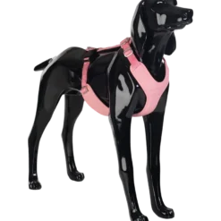 Visibility Harness Pink