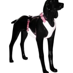 Visibility Harness Pink XS