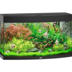 Vision 180 svart akvarium