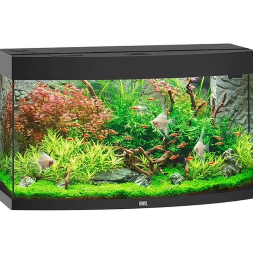 Vision 180 svart akvarium