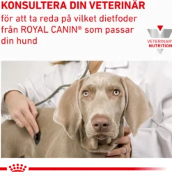 Vital Renal Våtfôr for hunder 100 g x 12 stk