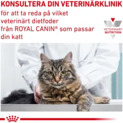 Weight Management Diabetic 3,5 kg for katt