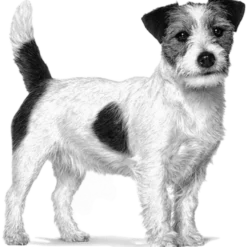 Weight Management Satiety Small Dog Tørrfôr for hunder 8 kg