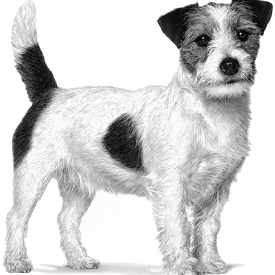Weight Management Satiety Small Dog Tørrfôr for hunder 3 kg