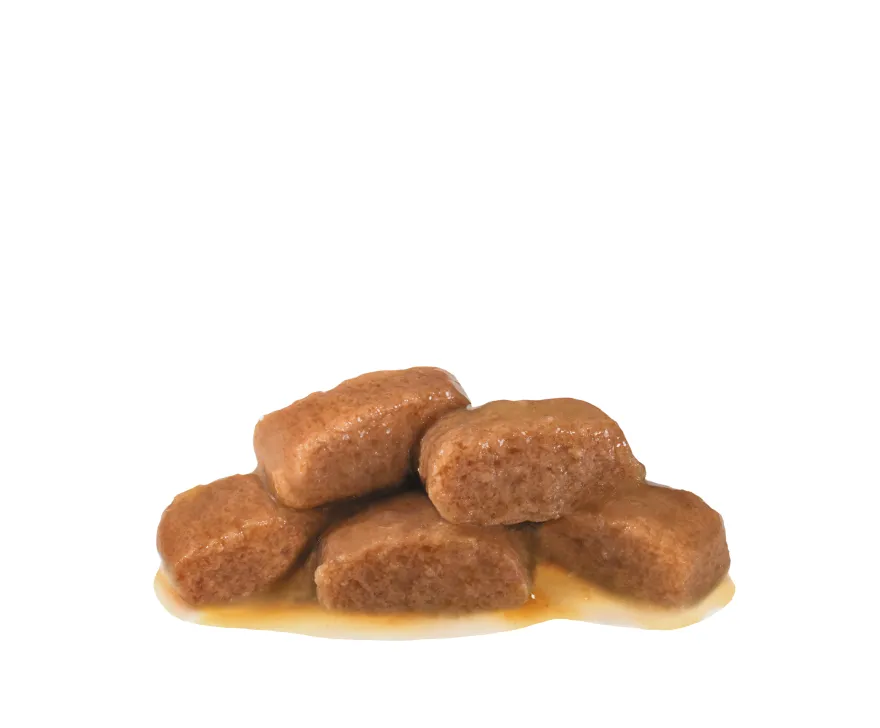 Wet Cat Gastro Intestinal 85 g x 12 stk - Porsjonsposer