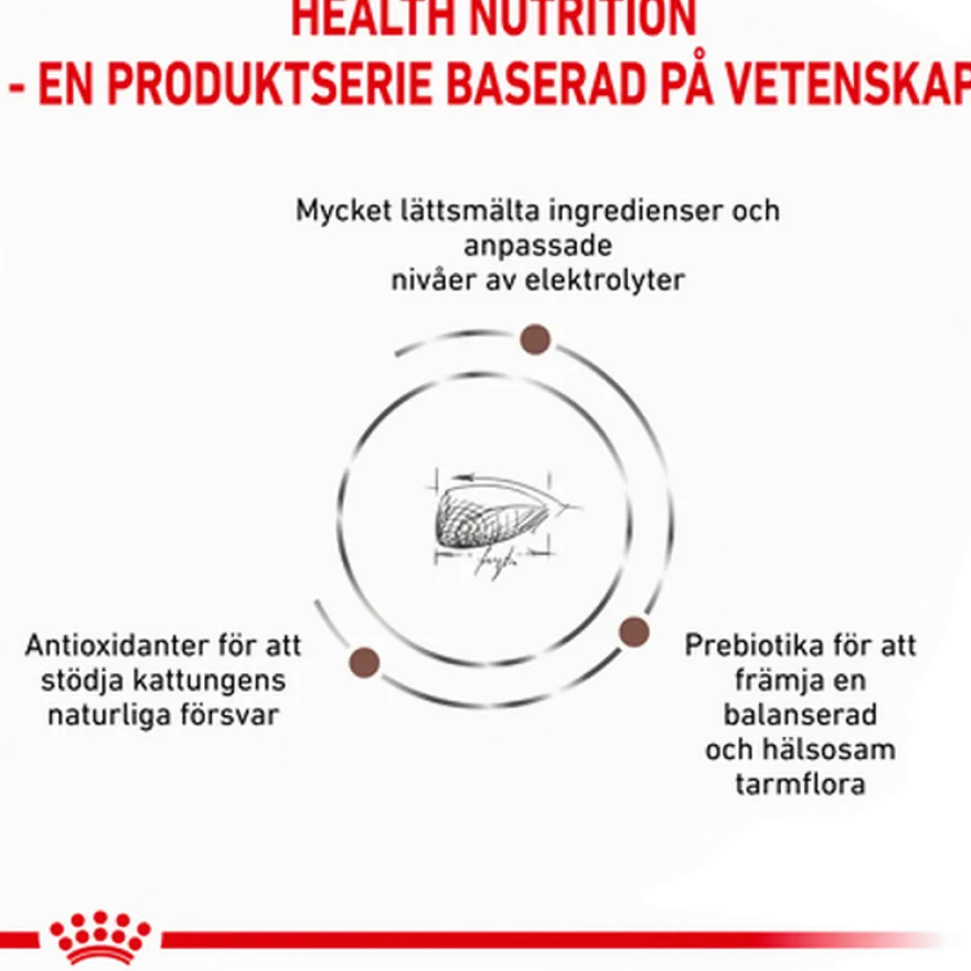 Wet Cat Gastro Intestinal Kattunge Mousse Boks 195 g