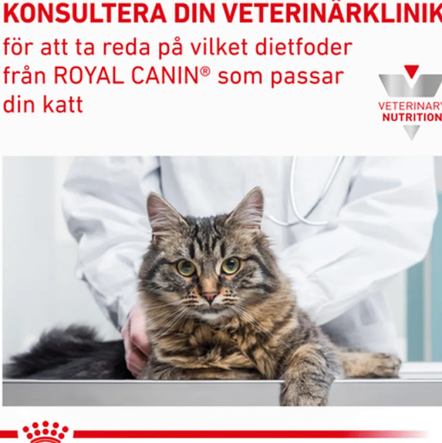 Wet Cat Gastro Intestinal Kattunge Mousse Boks 195 g