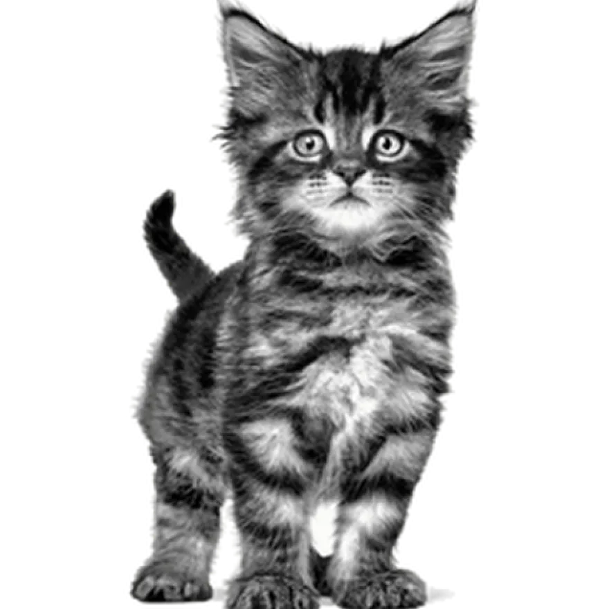 Wet Cat Gastro Intestinal Kattunge Mousse Boks 195 g