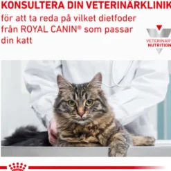 Wet Cat Gastro Intestinal Moderat kaloriinnhold 85 g x 12 stk - porsjonsposer