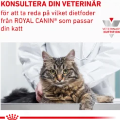 Wet Cat Renal Beef 85 g x 12 stk - porsjonsposer