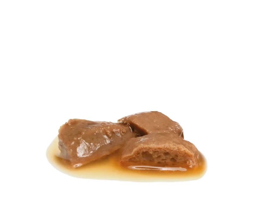 Wet Cat Renal Kylling 85 g x 12 stk - porsjonsposer