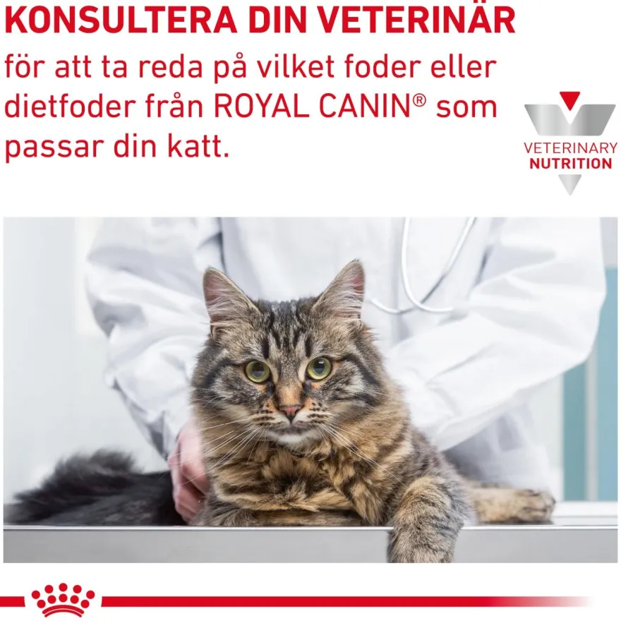 Wet Cat Skin & Coat Formula 85 g x 12 stk - porsjonsposer