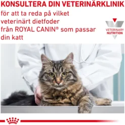 Wet Cat Urinary S/O Moderat kaloriinnhold 85 g x 12 stk - porsjonsposer