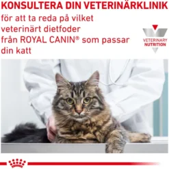 Wet Cat Urinary S/O Morsels in Gravy 85 g x 12 stk - porsjonsposer