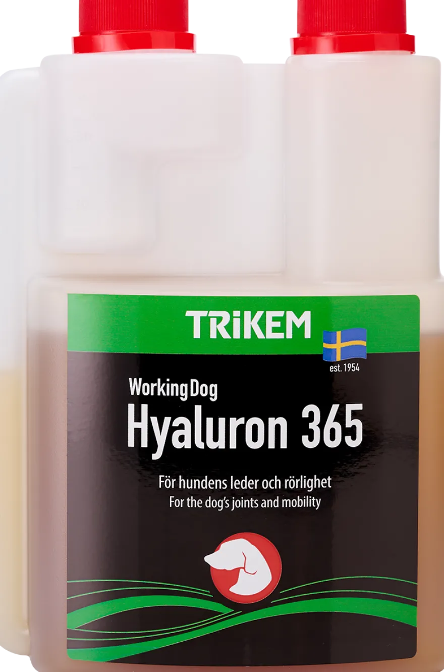 WorkingDog Hyaluron365 500 ml