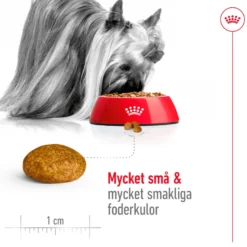 X-Small Adult tørrfôr for hunder 3 kg